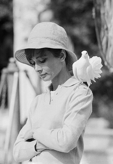 Terry O'Neill, ‘Audrey Hepburn Dove’, 1967