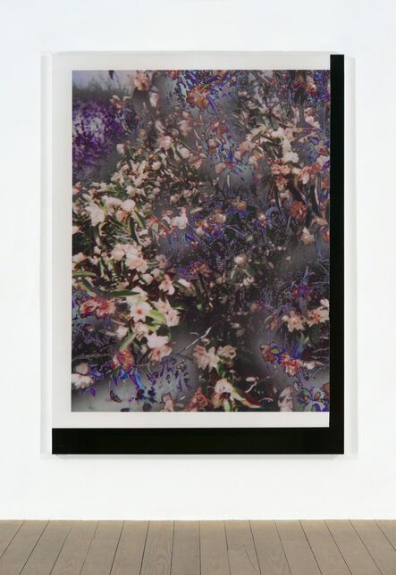 Travess Smalley, ‘Untitled (Feb_24_2015_Floral_LuluBook _Scan 3)’, 2015
