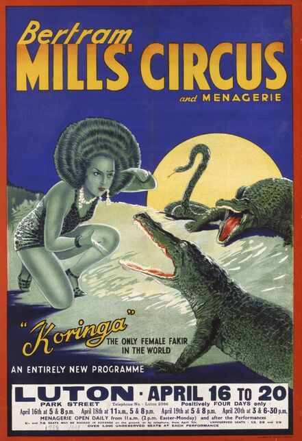 ‘Poster advertising Betram Mills Circus: Koringa. W. E. Barry Ltd. ’, 1938