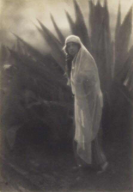 Edward Weston, ‘Maud Allan with Century Plant’, 1916