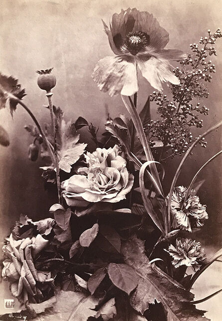 Charles Aubry, ‘Roses, Poppies and Carnations (Roses, Pavots et Oeillets)’, 1864c/1864c