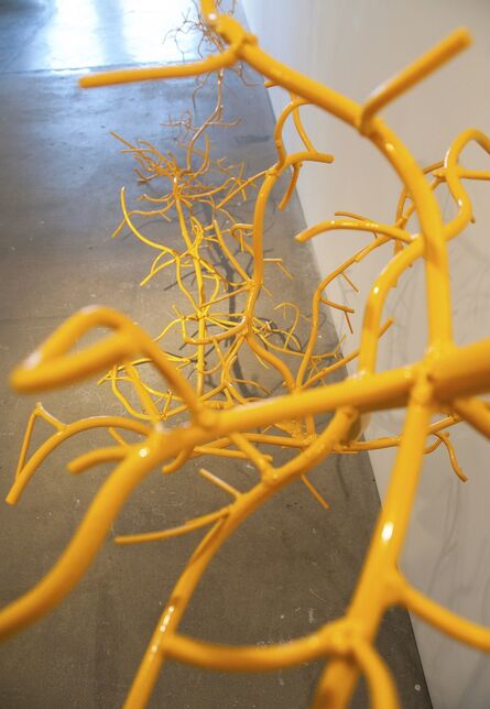 Dalya Luttwak, ‘Yellow Bamboo Root’, 2013