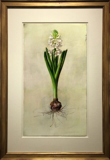 Jeffrey Ripple, ‘White Hyacinth’, 2016