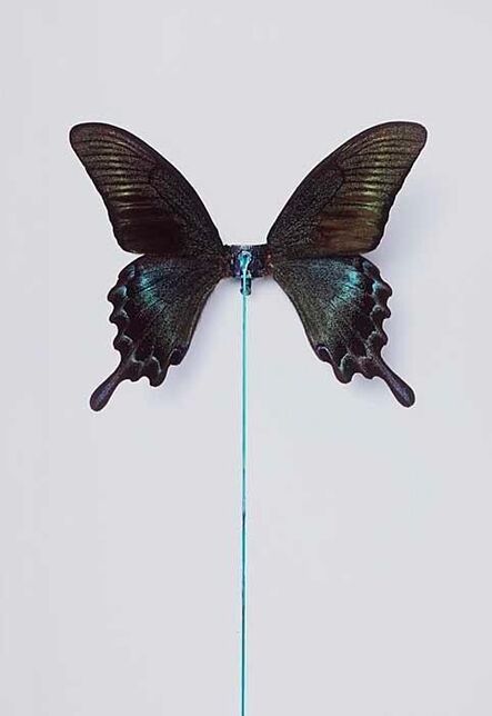 D*Face, ‘Splutterflies’, 2011