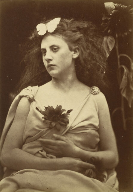 Julia Margaret Cameron, ‘The Sunflower’, 1866-1870