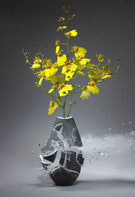 Martin Klimas, ‘Untitled (Orchidacae’, 2010