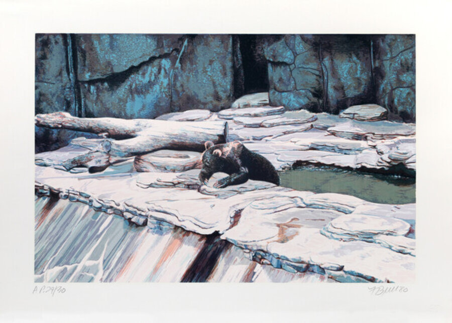 Zoo Bear