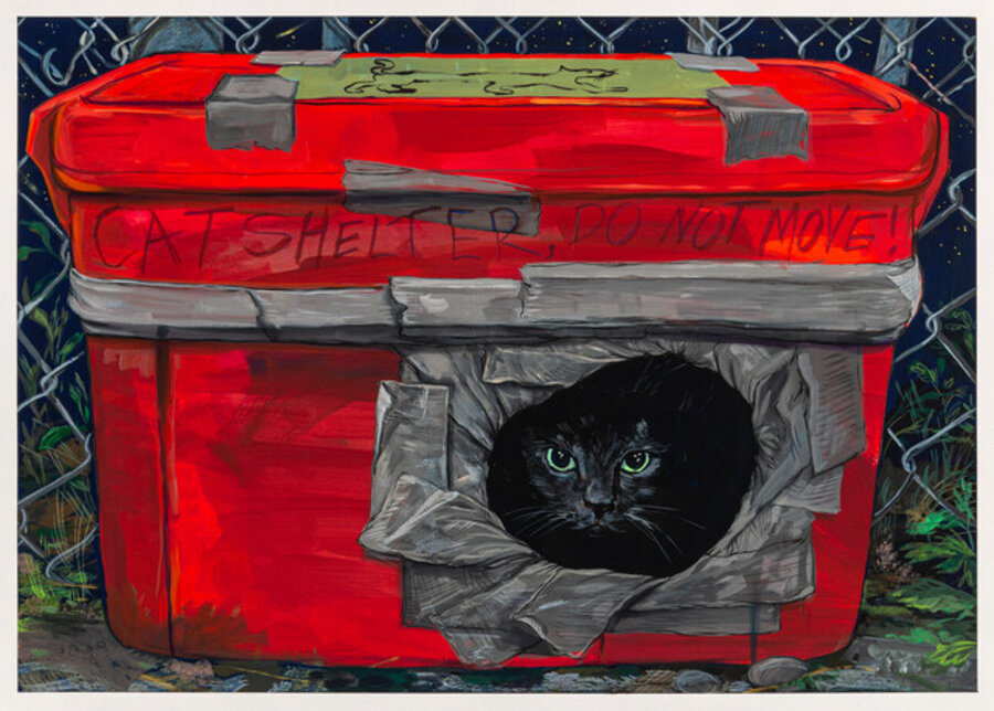 Bushwick Cat Shelter