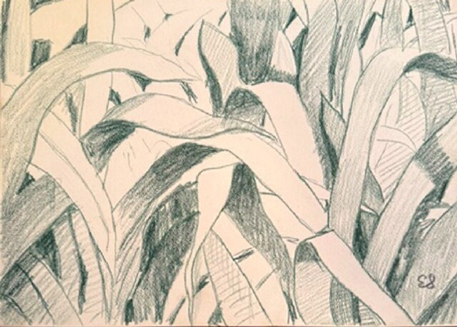 Green Grass