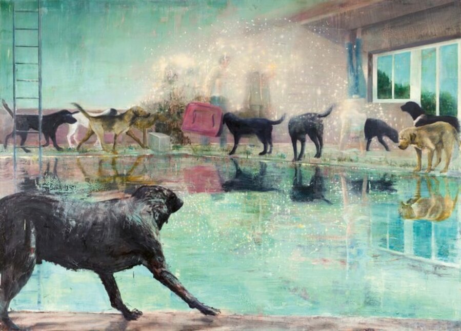 The Pool