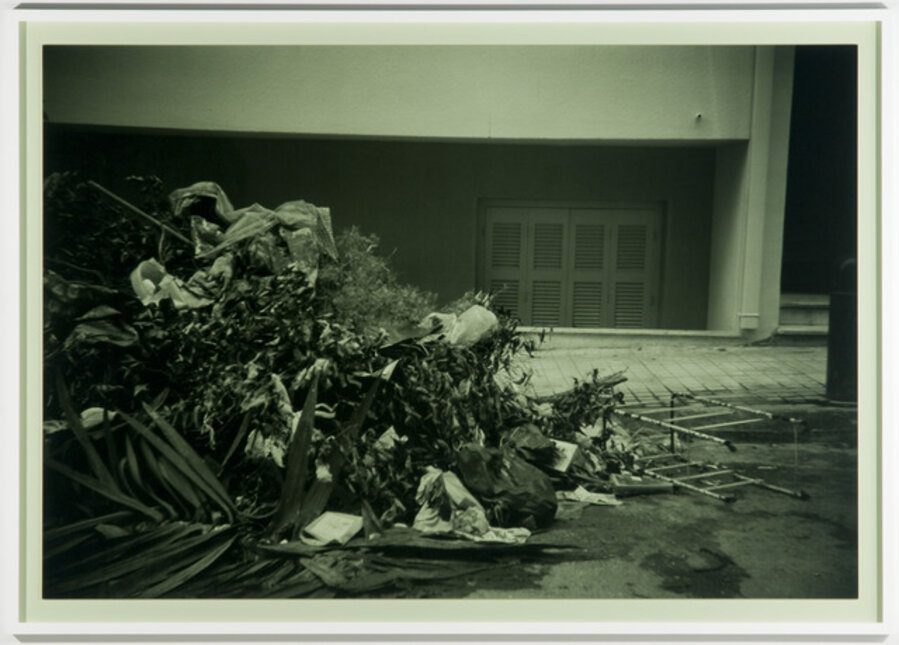 Auxiliary Flora (II) (Passive Voice)