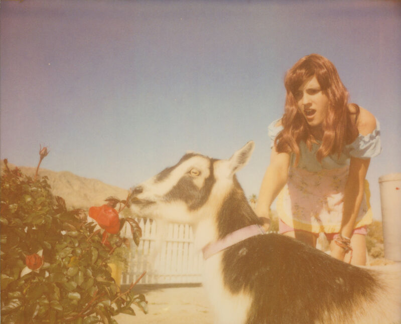 Stefanie Schneider, ‘Heather and Zeus (The Girl behind the White Picket Fence) ’, 2013, Photography, Analog C-Print, hand-printed by the artist on Fuji Crystal Archive Paper, based on a Polaroid, not mounted, Instantdreams
