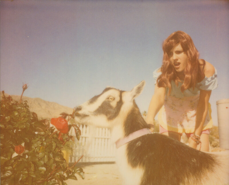 Stefanie Schneider, ‘Heather and Zeuss (The Girl behind the White Picket Fence) ’, 2013, Photography, Digital C-Print based on a Polaroid, not mounted, Instantdreams
