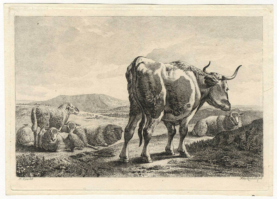 Bull with Sheep (after JOHAN HEINRICH ROOS)