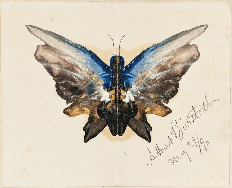 Albert Bierstadt, ‘Butterfly’, Drawing, Collage or other Work on Paper, Oil and pencil on paper, Skinner