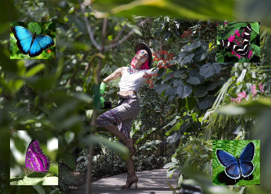 ISCP: Live Benefit Auction 2022