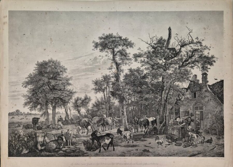 Farmyard Scene