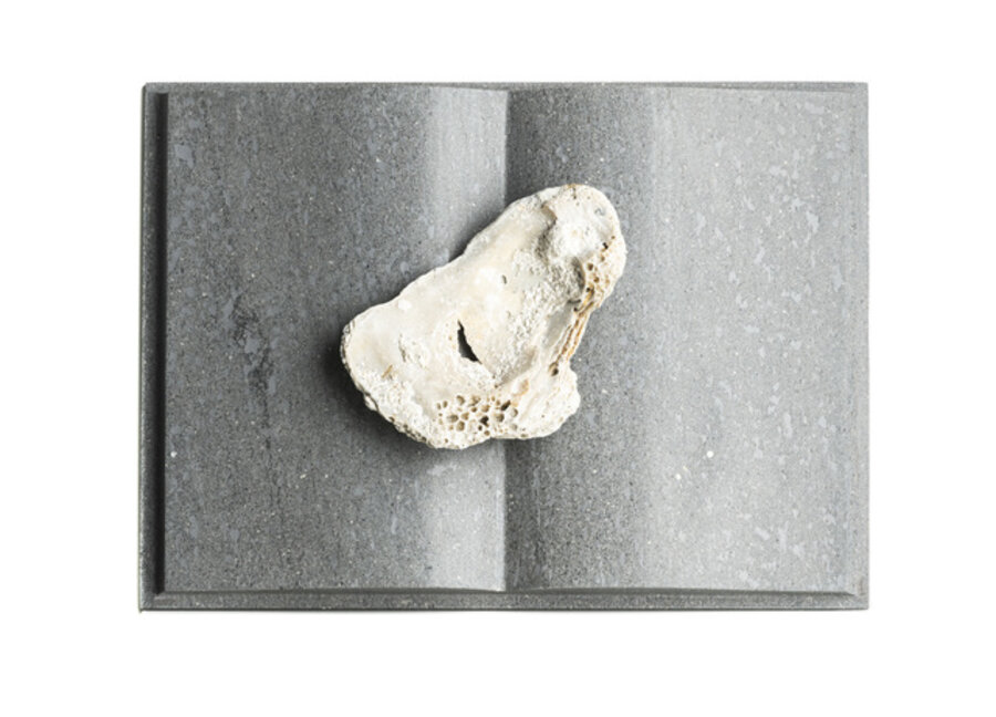 Senza titolo (libro fossile)