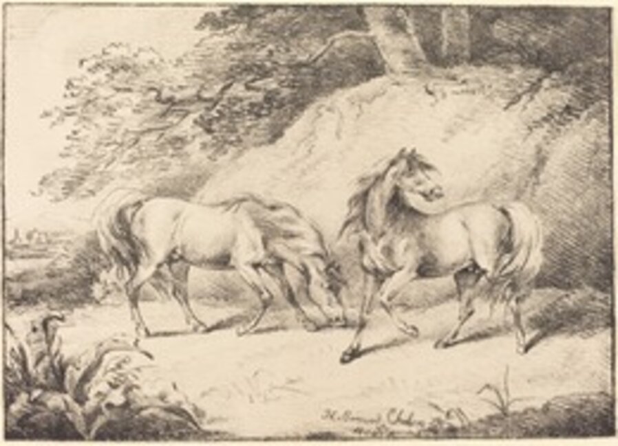 Wild Horses