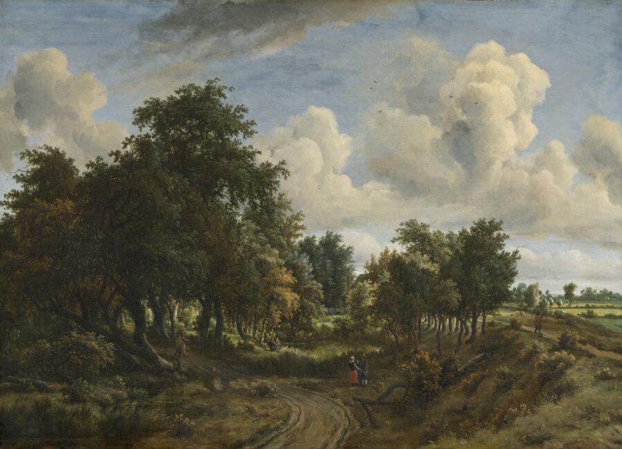 A Wooded Landscape