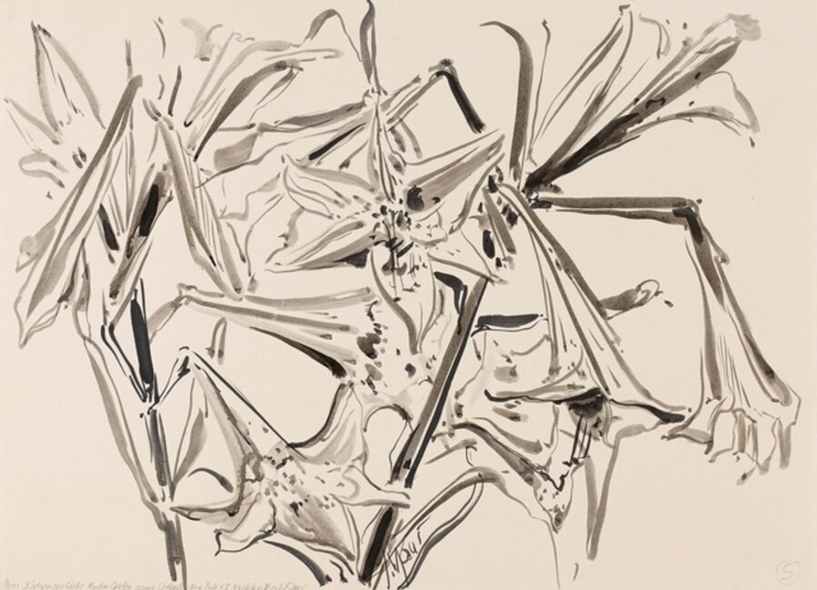 Lilien
