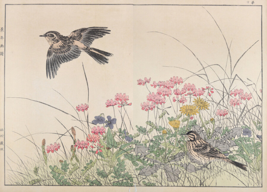 Chinese Milk-vetch, Violet, Dandelion, Field Horsetail and Skylark