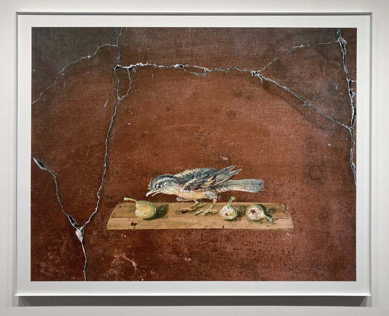 Robert Polidori, ‘Bird and Figs Fresco panel, detail, Villa of Poppaea, Oplontis’, 2017, Photography, Archival pigment print mounted to Dibond, Studio Trisorio