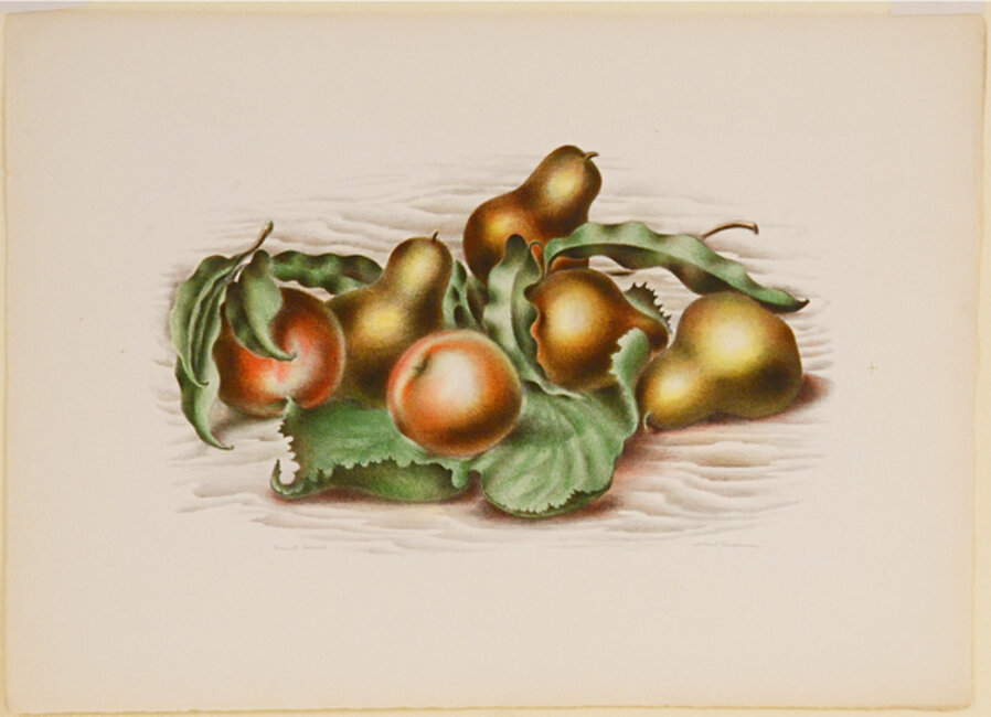 Fruit Forms