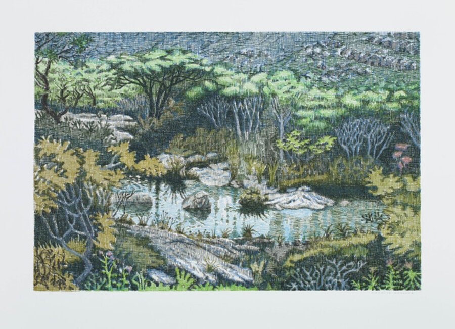 Untitled 03 from Mato, Onda e Abstrato (Forest, Wave and Abstract)