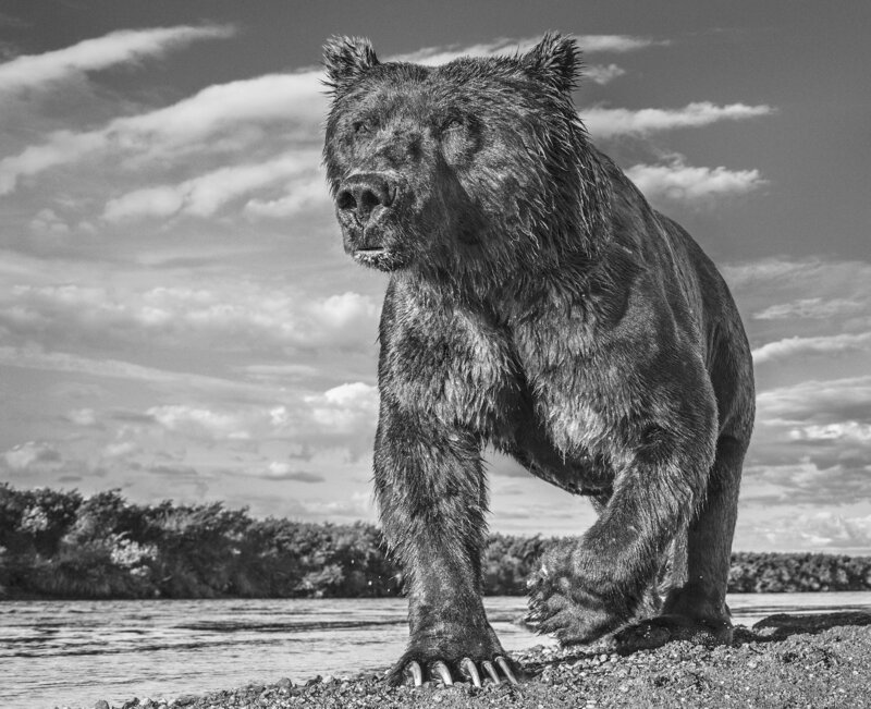 David Yarrow, ‘The Fisher King’, 2017, Photography, Archival Pigment Print, CAMERA WORK