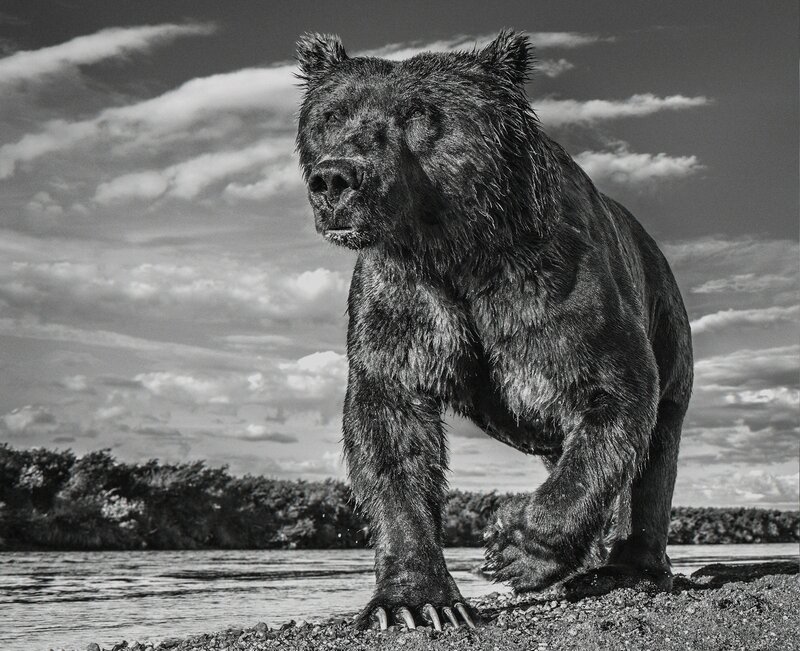 David Yarrow, ‘Fisher King ’, 2017, Photography, Archival Pigment Print, Maddox Gallery