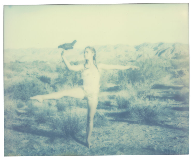 Stefanie Schneider, ‘Chicken Ballet (Chicks and Chicks and sometimes Cocks)’, 2017, Photography, Digital C-Print, based on a Polaroid, Instantdreams
