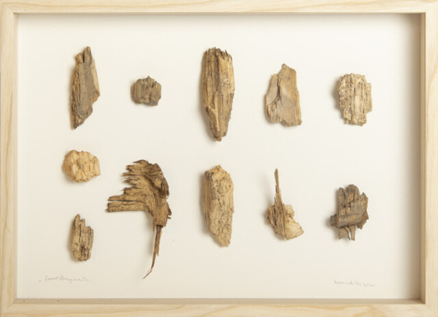 forest fragments