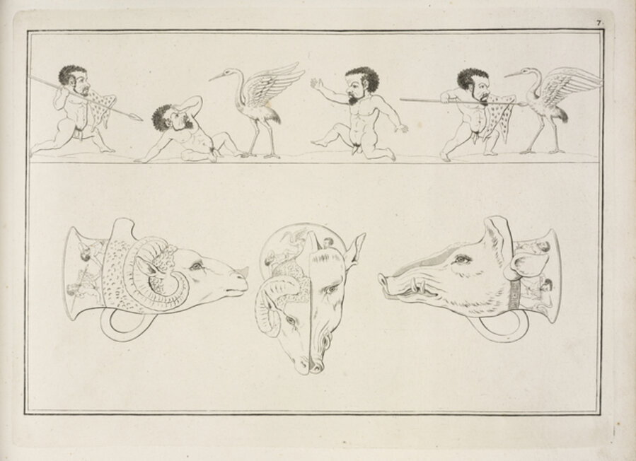 Plate 7