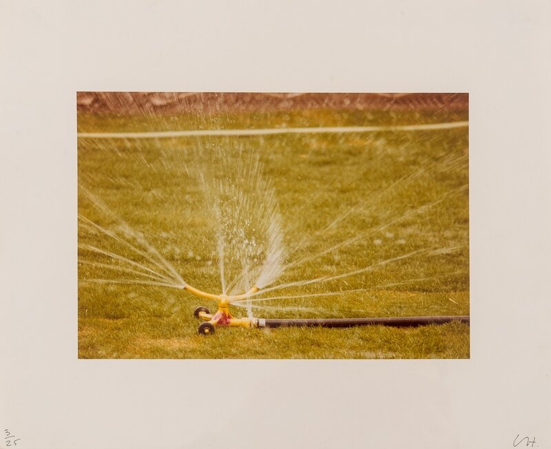 David Hockney, ‘Untitled (Sprinkles)’, 1976, Photography, C-type print in colours, Forum Auctions