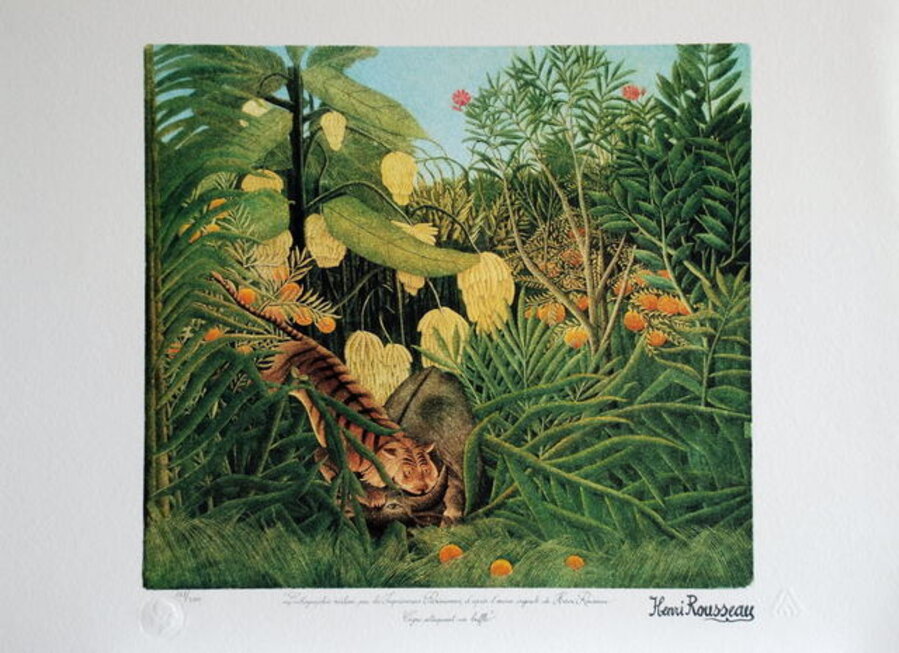 Tigre attrapant un buffle (Tiger catching a buffalo)