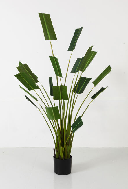 Jane Benson, ‘Faux Faux (Paradise Palm) ’, 2022