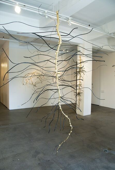 Dalya Luttwak, ‘Root of Soybean’, 2014