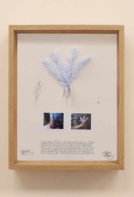 Alberto Baraya, ‘Christmas white pine (Lámina 07). Expedición Allapattah. Herbario de plantas artificiales’, 2019