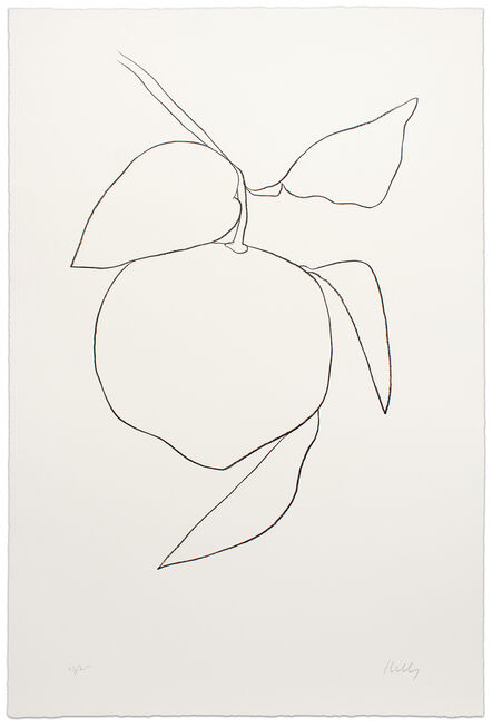 Ellsworth Kelly, ‘Grapefruit (Pamplemousse)’, 1964-1965