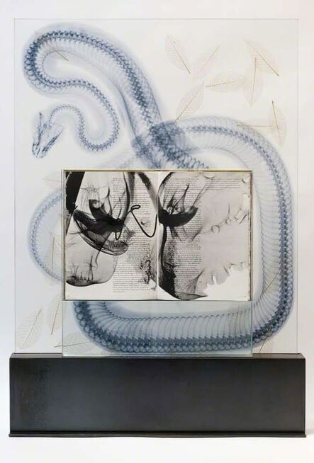 Steve Miller, ‘Snake Leaves’, 2011