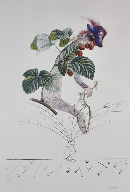 Salvador Dalí, ‘FlorDali/Les Fruits Raspberry’, 1969