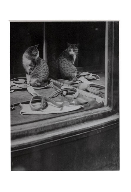 Brassaï, ‘Chat se regardant dans la glace’, ca. 1938