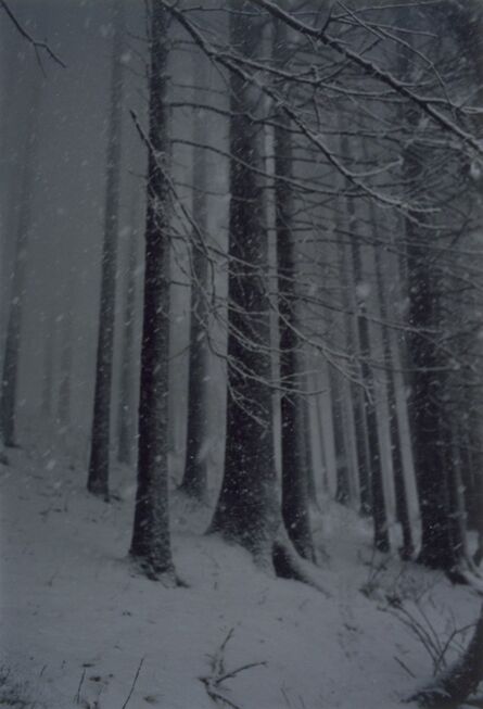 Jitka Hanzlová, ‘Forest #2, Untitled (Snow Storm)’, 2000