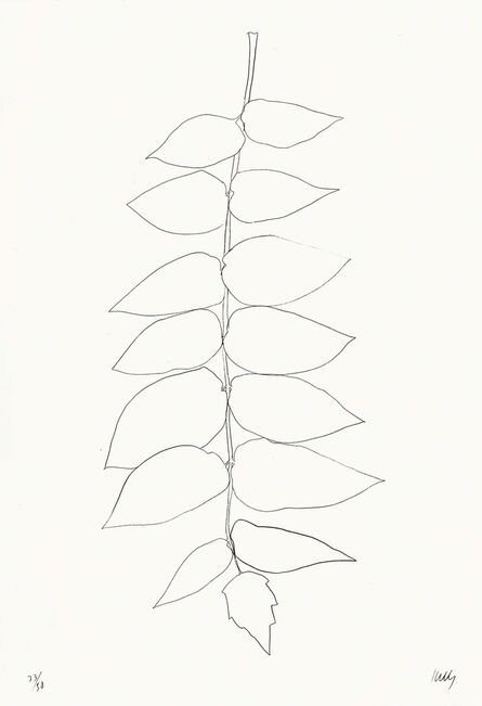 Ellsworth Kelly, ‘Ailanthus Leaves II (Vernis du Japon II)’, 1966