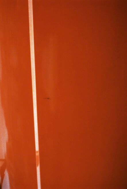 Jan Dibbets, ‘Orange with white stripe’, 2012