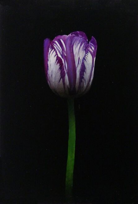 Michael Gregory, ‘Purple and White Tulip’, 2017