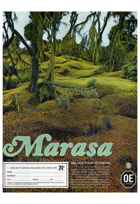 Jonah Freeman & Justin Lowe, ‘Marasa Advertisement ("Unlock Your Potential" Campaign 1974)’, 2010