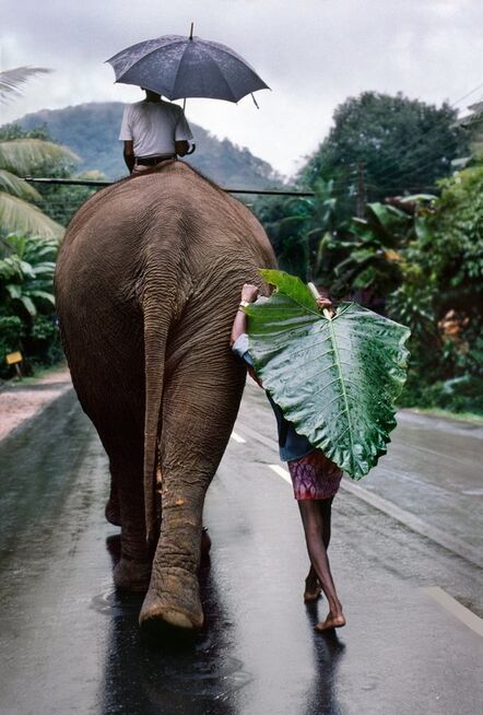 Steve McCurry, ‘Young Man Walks Behind Elephant, Sri Lanka ’, 1995