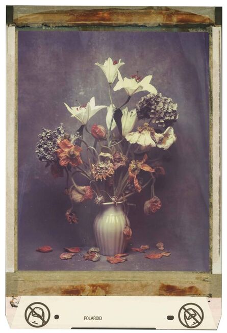 Jan C. Schlegel, ‘Polaroid #010’, 2021